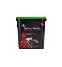 Audevard Bonutron Galop