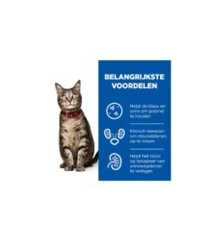 Hill's PD C/D Multicare Urinary Care Stoofpotje Met Kip & Groente - 24 X 82 Gram -Bekende Dieren Winkel hill s pd cd multicare urinary care stoofpotje met kip groente 24 x 82 gram 3