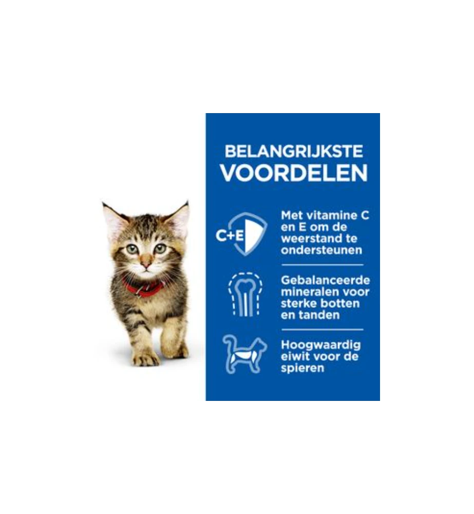 Hill's Science Plan Healthy Cuisine Kitten Stoofpotje Kip & Zeevis - 4 X 12 X 80 Gram 2 Hill's Science Plan Healthy Cuisine Kitten Stoofpotje Kip & Zeevis - 4 X 12 X 80 Gram - Afbeelding 2