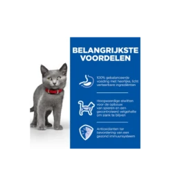 Hill's Science Plan Sterilised Kitten Met Kip 7 Hill's Science Plan Sterilised Kitten Met Kip -Bekende Dieren Winkel hill s science plan sterilised kitten met kip 3