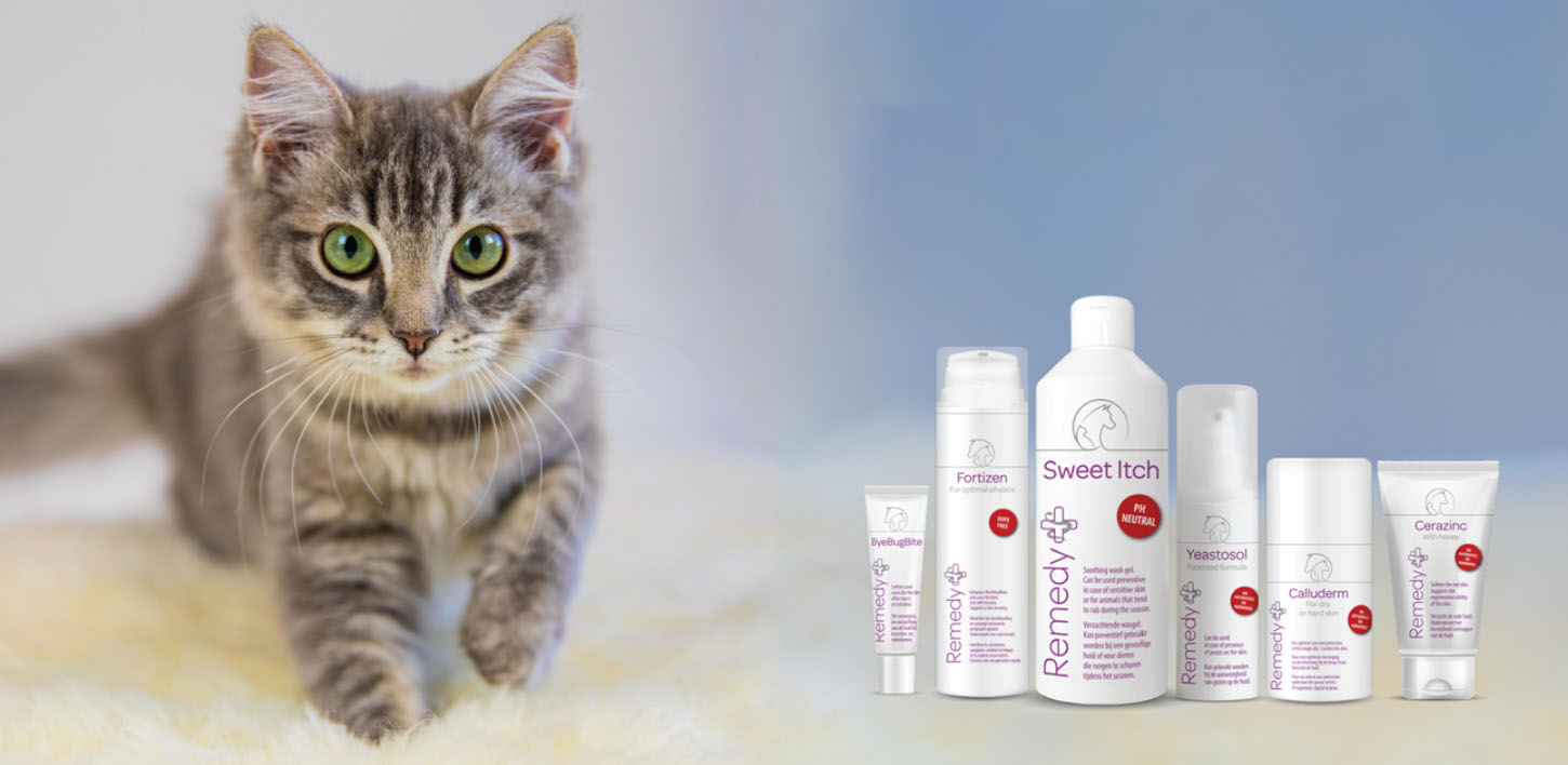 Bekende Dieren Winkel -Bekende Dieren Winkel ljul