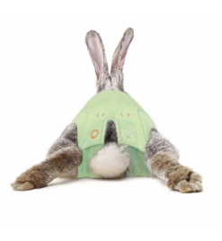Medical Pet Shirt (Konijn) -Bekende Dieren Winkel medical pet shirt konijn groen 2