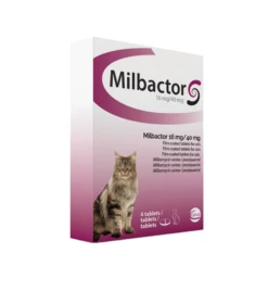 Milbactor Grote Kat (+2 Kg)