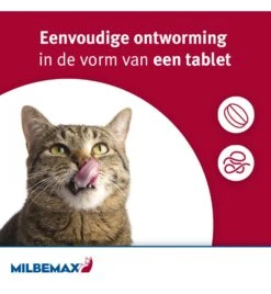 Milbemax Grote Kat -Bekende Dieren Winkel milbemax grote kat 2