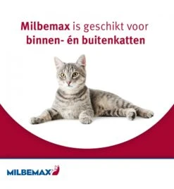 Milbemax Grote Kat -Bekende Dieren Winkel milbemax grote kat 3