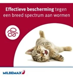 Milbemax Kleine Kat / Kitten -Bekende Dieren Winkel milbemax kleine kat kitten 1