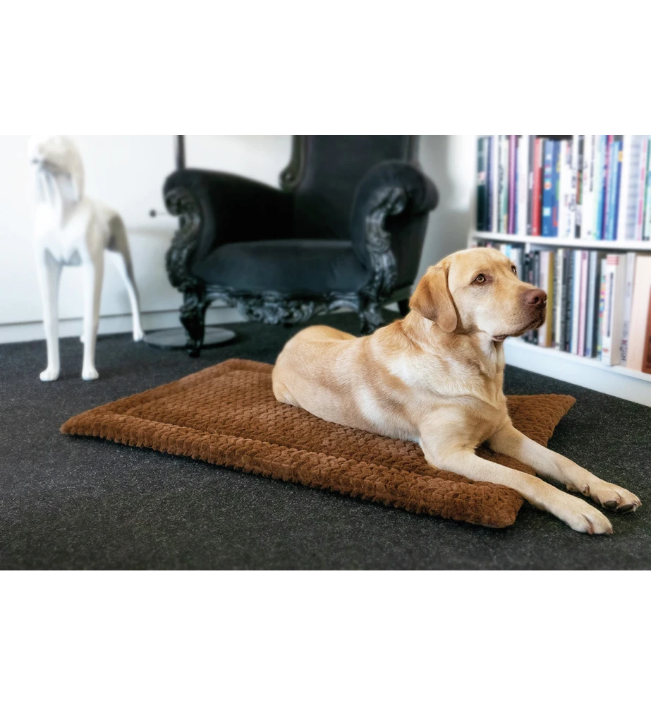 Petlando Deken Daisy Bruin 2 Petlando Deken Daisy Bruin - Afbeelding 2