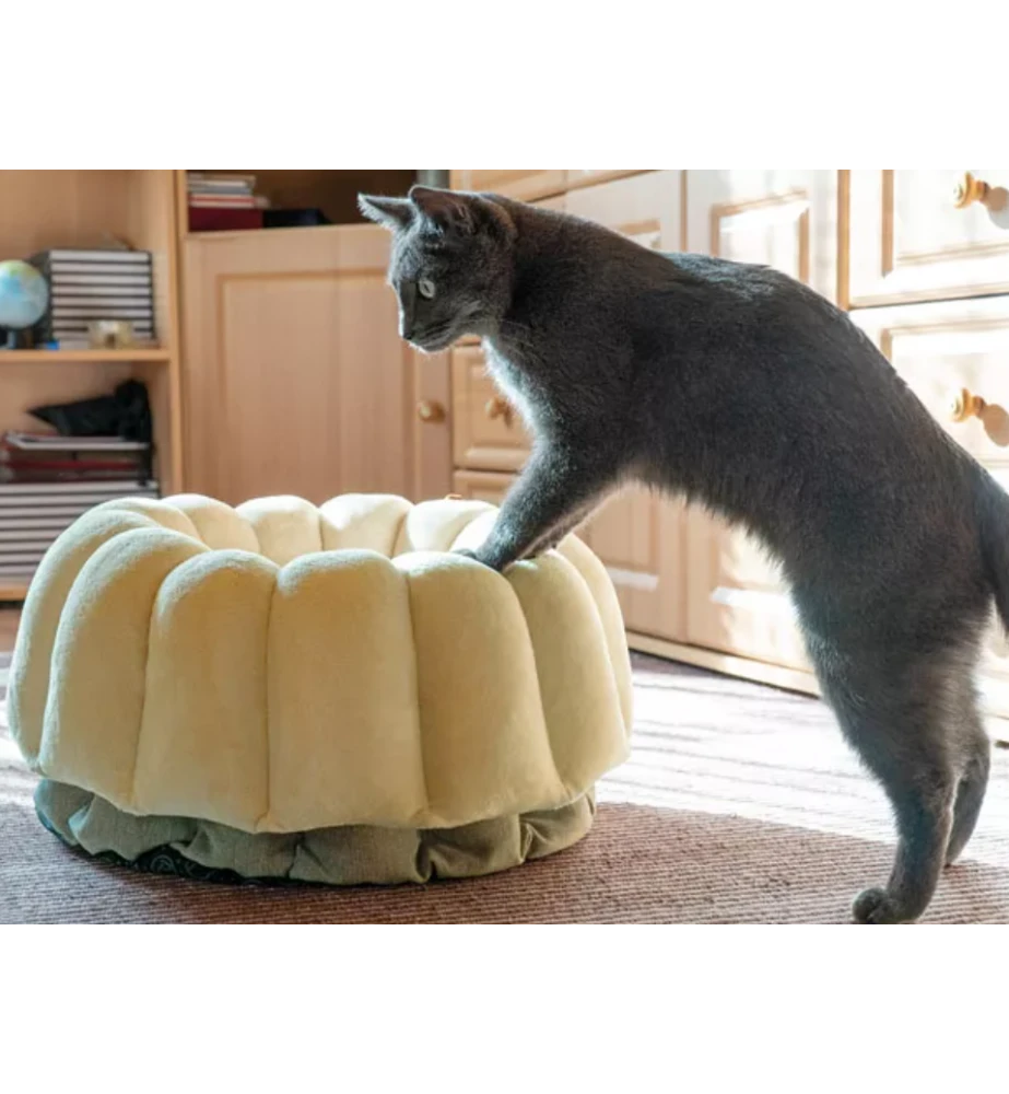 Petlando Ligmand Kat Vienna 3 Petlando Ligmand Kat Vienna - Afbeelding 3