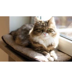 Bekende Dieren Winkel -Bekende Dieren Winkel petlando windowchiller grijs 1