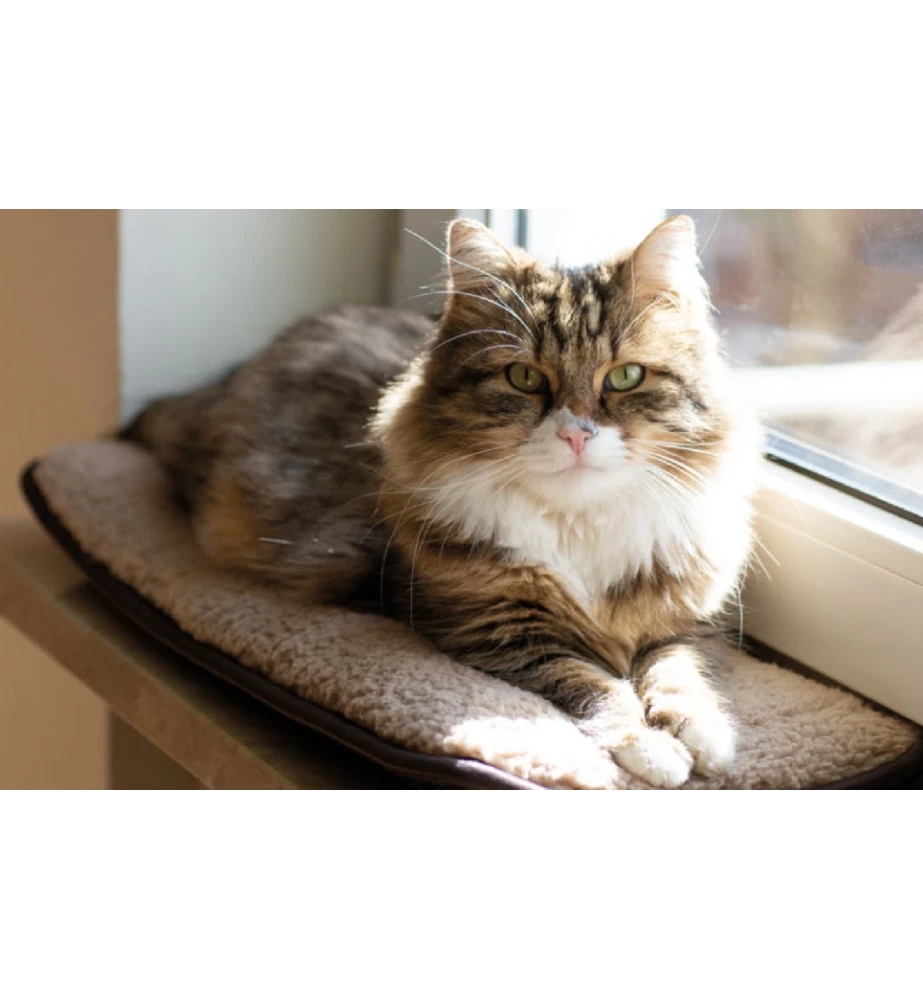 Petlando Windowchiller 2 Petlando Windowchiller - Afbeelding 2