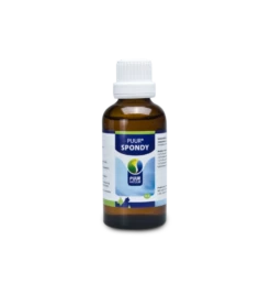 PUUR Spondy - 50 Ml