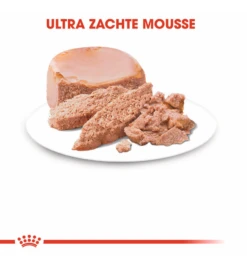 Royal Canin Mother & Babycat Mousse - 12 X 195 Gram 8 Royal Canin Mother & Babycat Mousse - 12 X 195 Gram -Bekende Dieren Winkel royal canin mother babycat mousse 12 x 195 gram 2