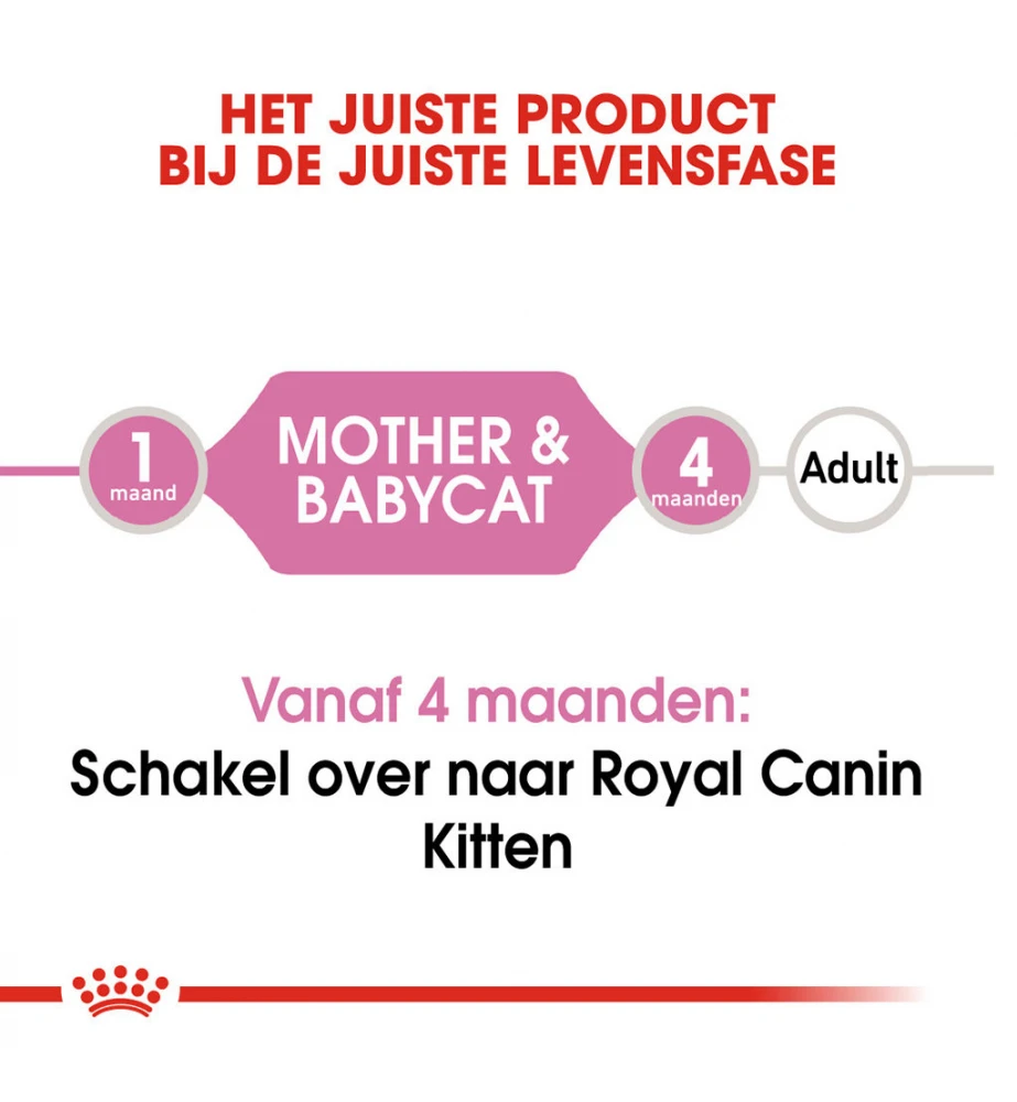 Royal Canin Mother & Babycat Mousse - 12 X 195 Gram 5 Royal Canin Mother & Babycat Mousse - 12 X 195 Gram - Afbeelding 5