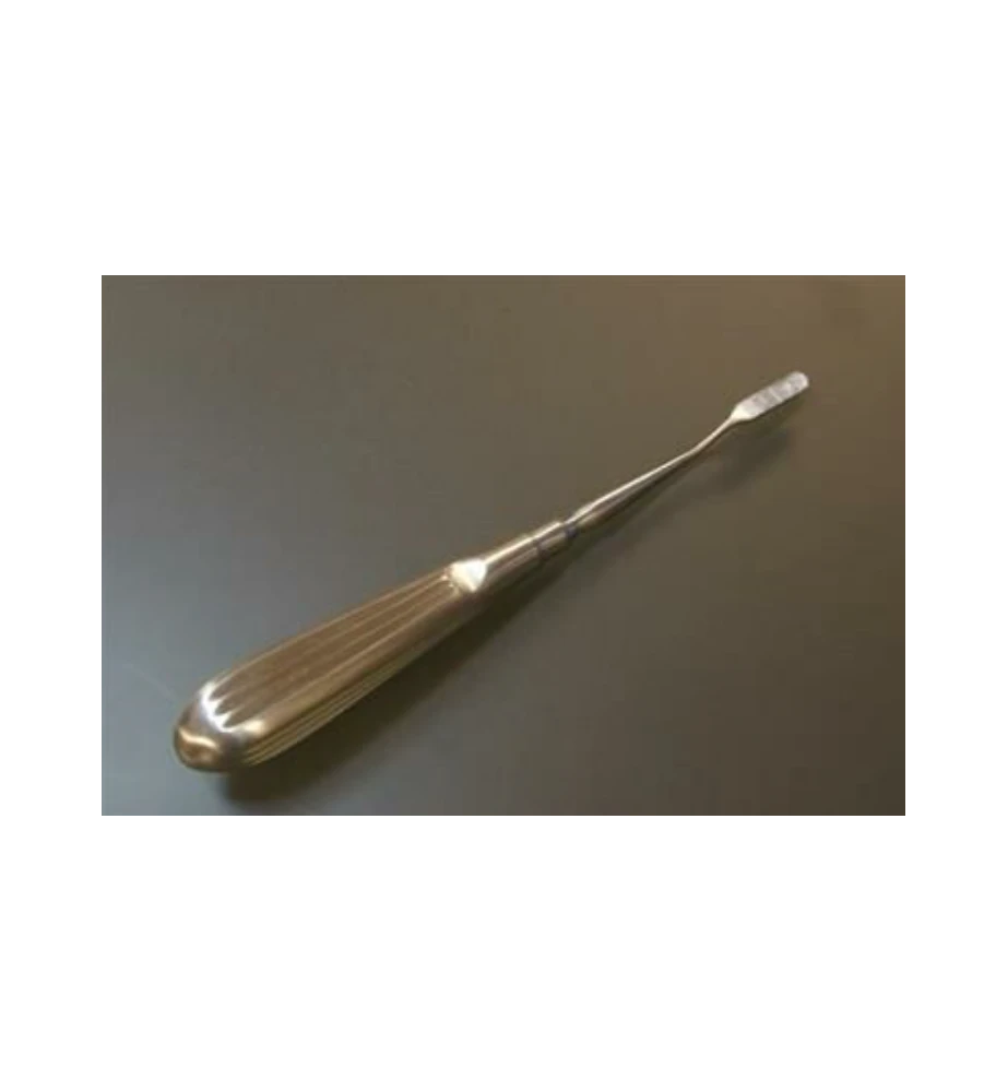 Tandenrasp Kleine Huisdieren 18 Cm 1 Tandenrasp Kleine Huisdieren 18 Cm