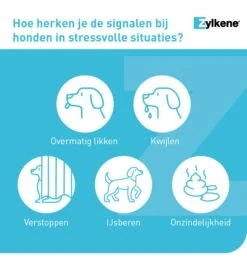 Vetoquinol Zylkène 75 Mg Capsules (- 10 Kg) -Bekende Dieren Winkel zylkene 75 mg capsules 3