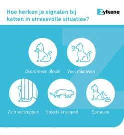 Vetoquinol Zylkène 75 Mg Capsules (- 10 Kg) -Bekende Dieren Winkel zylkene 75 mg capsules 4