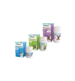 Vetoquinol Zylkene Plus 75 Mg Hond & Kat (-10 Kg) - 30 Capsules -Bekende Dieren Winkel zylkene plus 75 mg hond kat 10 kg 30 capsules 2